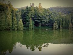 -广州市帽峰山景区
