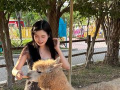 -灵玲国际马戏城