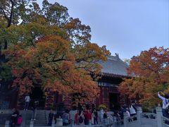 -香山公园
