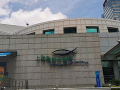 -上海海洋水族馆