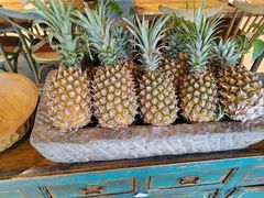 -滇越乘象云南餐厅(次渠店)