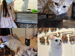 -逃脱反斗城沉浸剧情密室(北京路店)