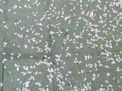 -绿地风尚天地广场