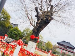 -董永七仙女文化园