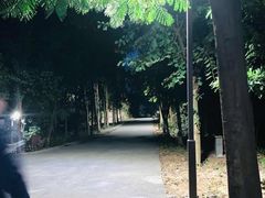 -南岗山公园