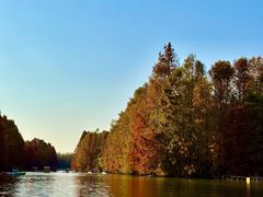 -上海海湾国家森林公园