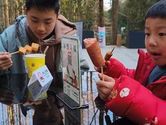 -东明山森林公园