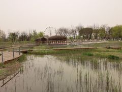 -西安浐灞国家湿地公园
