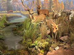 -陕西自然博物馆