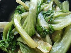 -七裕庄(凯旋南路店)