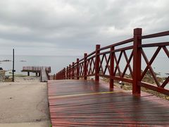 -海岛日记(养马岛店)