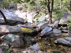 -黑龙潭风景区