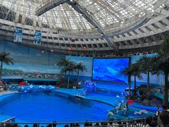 -海合安成都极地海洋公园