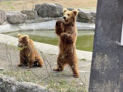 -宁波野生动物园