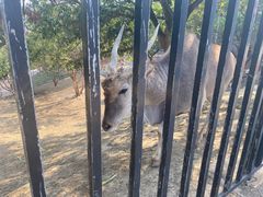 -泉州海丝野生动物世界