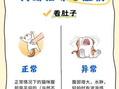 -瑞鹏宠物医院·内科·中兽医·骨科(苗圃店)