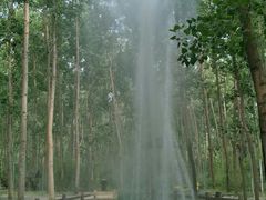 -合肥滨湖国家森林公园