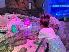 -沈阳海洋探索中心