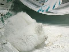 -哈尔滨极地公园