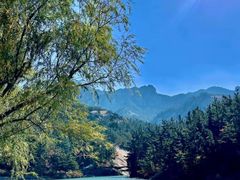 -九龙池景区