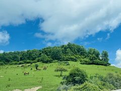 -关山草原