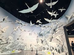 -中国湿地博物馆
