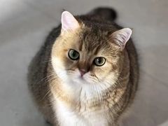 -嘉馨宠物医院·CT影像转诊·心脏科·犬猫全科诊疗中心(下沙大学城院区)