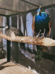 -酷嗒动物文化乐园(cutezoo西溪乐天城店)