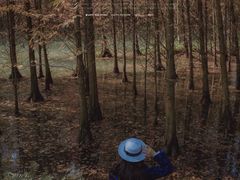 -桤木河湿地公园