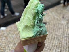 -柠檬车露(卖草地店)