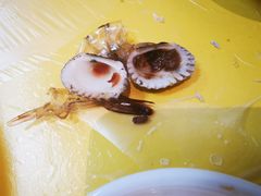 -官塘陈记鱼生·潮汕砂锅粥·牛肉火锅(潮枫路总店)