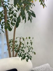 -JNK皮肤管理中心