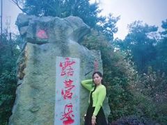 -铁山坪森林公园