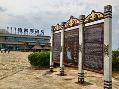 -哈素海