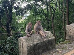 -黔灵山公园