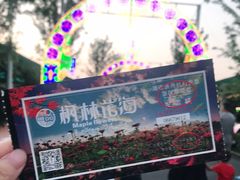 -枫林花海