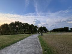 -合肥滨湖国家森林公园