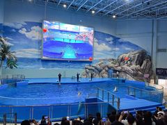-福州罗源湾海洋世界旅游区
