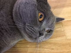 -壹人壹像工作室(购物公园店)