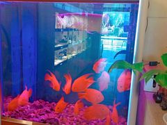 -宫七SPA·高端Massage(浦东大道店)