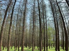 -蜀冈西峰生态公园