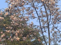 -白塘生态植物园