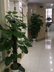 -悟空祛痘·诺奖技术专业店