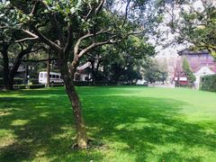 -复旦大学附属华山医院(总院)