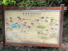-十八棵（老龙井）御茶园(老龙井店)
