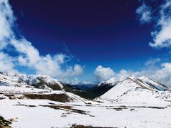 -大冬树山垭口