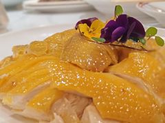 正宗湛江安铺鸡-明本湛江鸡•海鲜小厨(陈家祠店)