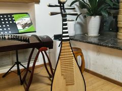 -音歆国艺馆·民乐培训(双榆树店)