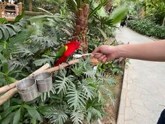 -南宫五洲植物乐园