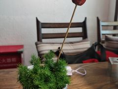 蒲公英糖葫芦-小大董·烤鸭(王府井apm店)